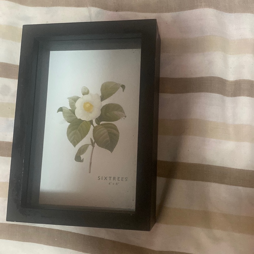 Picture frame